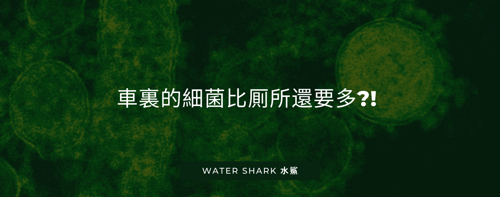 車裏的細菌比厠所還要多?!處理不好隨時致命?!