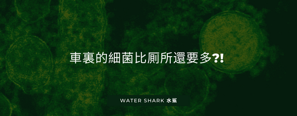 車裏的細菌比厠所還要多？！處理不好隨時致命？！